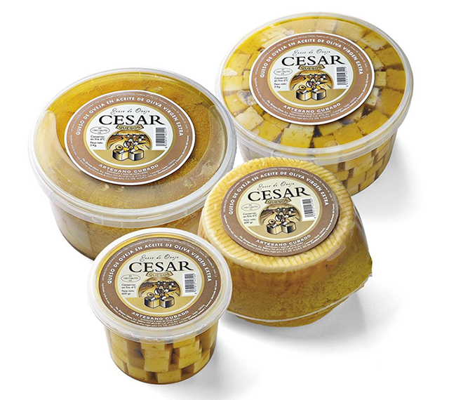 Vinuri spaniole Vin si Gust | Vinuri spaniole | Vinuri Spania | Vinuri din Spania | Vinuri premiate | Vinuri horeca | Comenzi vinuri | Jamon | Jamon Spania | Jamon Spania | Branza Cedar | Fructe de mare | Fructe de mare de Spania