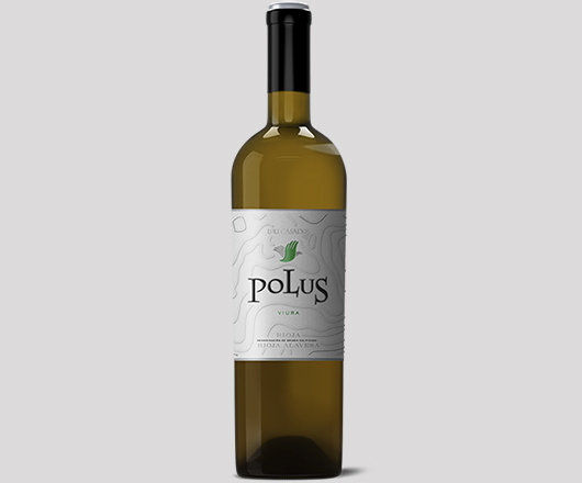 Vinuri spaniole Vin si Gust | Vinuri spaniole | Vinuri Spania | Vinuri din Spania | Vinuri premiate | Vinuri horeca | Comenzi vinuri | Jamon | Jamon Spania | Jamon Spania | Branza Cedar | Fructe de mare | Fructe de mare de Spania