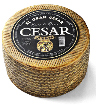 Vinuri spaniole Vin si Gust | Vinuri spaniole | Vinuri Spania | Vinuri din Spania | Vinuri premiate | Vinuri horeca | Comenzi vinuri | Jamon | Jamon Spania | Jamon Spania | Branza Cedar | Fructe de mare | Fructe de mare de Spania