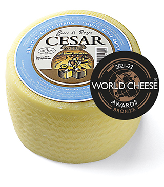 Vinuri spaniole Vin si Gust | Vinuri spaniole | Vinuri Spania | Vinuri din Spania | Vinuri premiate | Vinuri horeca | Comenzi vinuri | Jamon | Jamon Spania | Jamon Spania | Branza Cedar | Fructe de mare | Fructe de mare de Spania